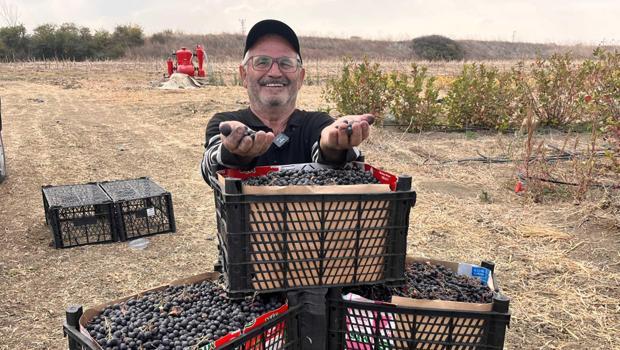 71 yaşındaki çiftçi ektiği meyveden çok memnun: 5 dönümlük bahçesi ona yetiyor
