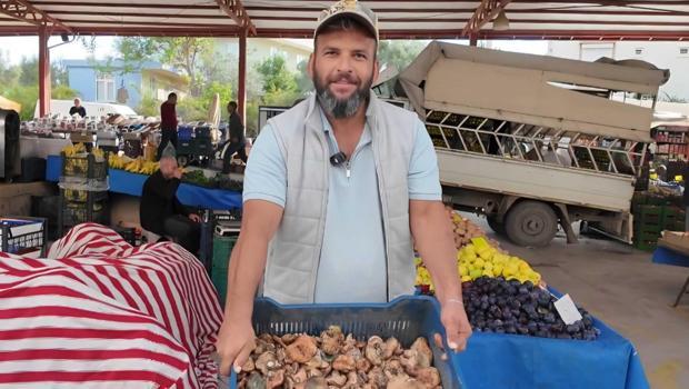 Doğada kendiliğinden yetişiyor, kilosu pazarda 300 TL`ye satılıyor: ‘Yaylada ganimet var’