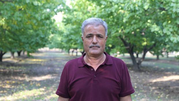 Çorak arazide tarım yaptı! 60 ton ürün elde ediyor: Ağaç sayısı gittikçe artıyor