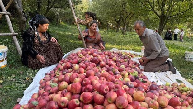 Devlet desteğiyle kurdu! Bahçede 8 tonluk verim