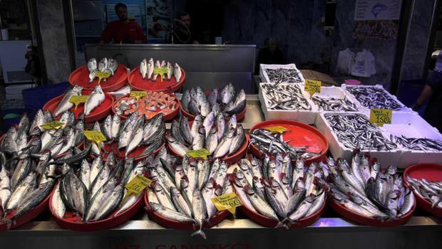 Palamut gidiyor, gözler hamside: 'En son 23 yıl önce böyle bolluk vardı'