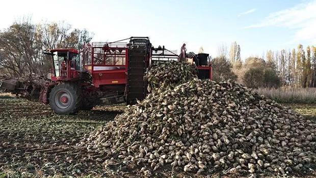 Pancar üreticisi çiftçilerin hesaplarına 5`inci avans ödemeleri aktarıldı