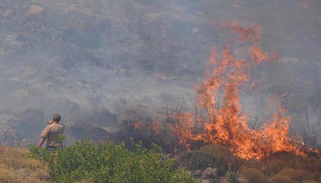 Son dakika haberi... İzmirde farklı noktalarda yangın Kontrol altına alındı