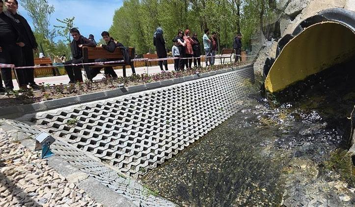 Van Gölü'nün gizli yolcuları! Yüzyıllık hasret bitti: ‘Dünyada başka bir yerde görmeniz mümkün değil’