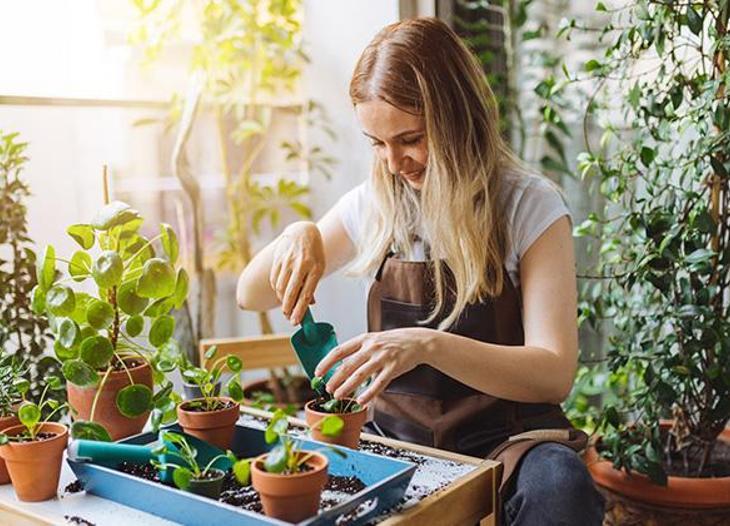 İşte balkon bahçesi yapmak için bilmeniz gerekenler!