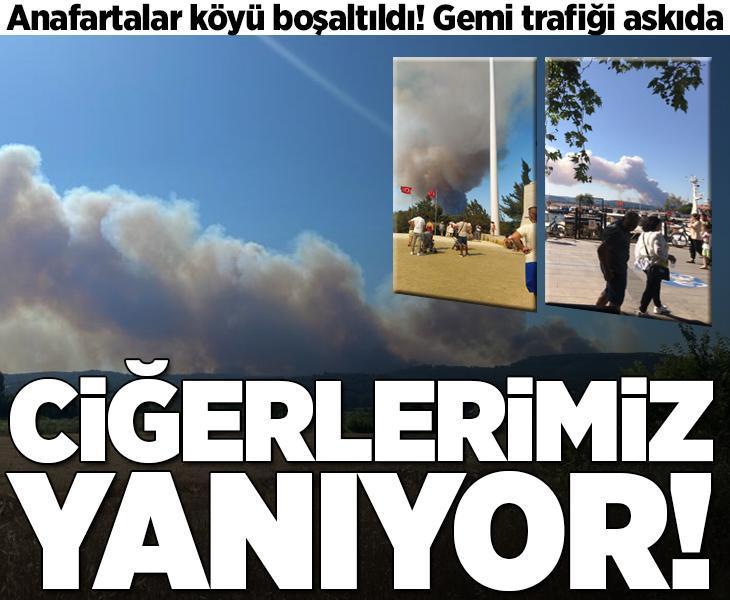 Son dakika! Çanakkale'de orman yangını: Gemi trafiği askıya alındı