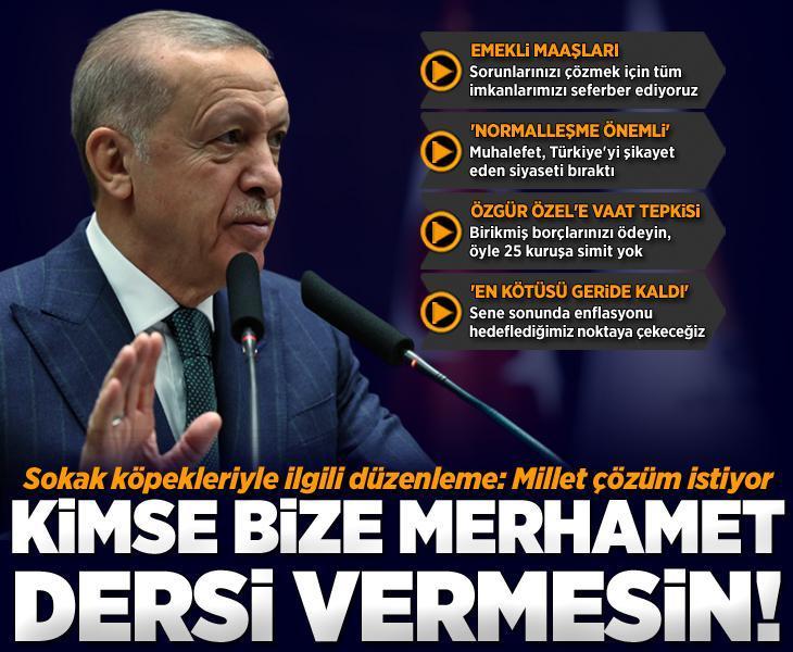 Erdoğan'dan başıboş köpek düzenlemesi açıklaması: Kimse bize merhamet dersi vermesin