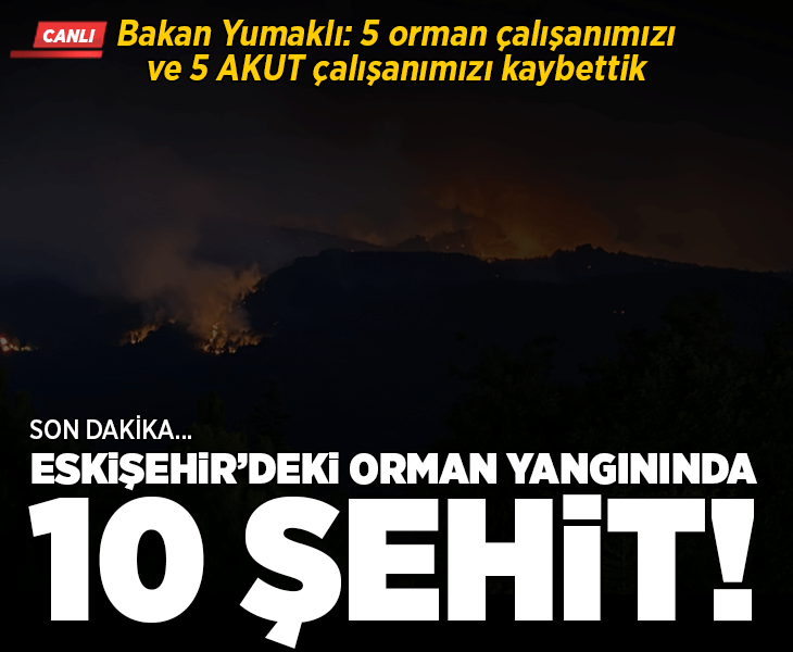 Eskişehir'de orman yangınlarında 10 orman işçisi şehit oldu