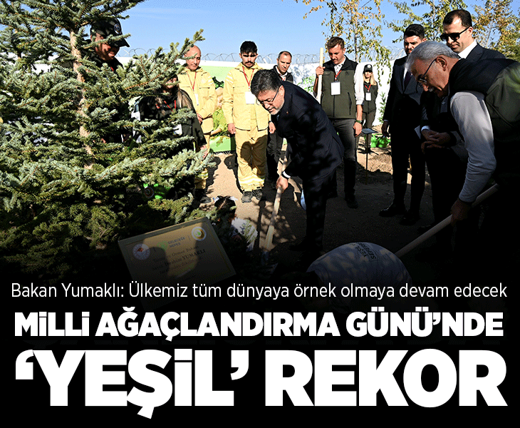 11 Kasım Milli Ağaçlandırma Günü'nde 'çifte rekor' kırıldı