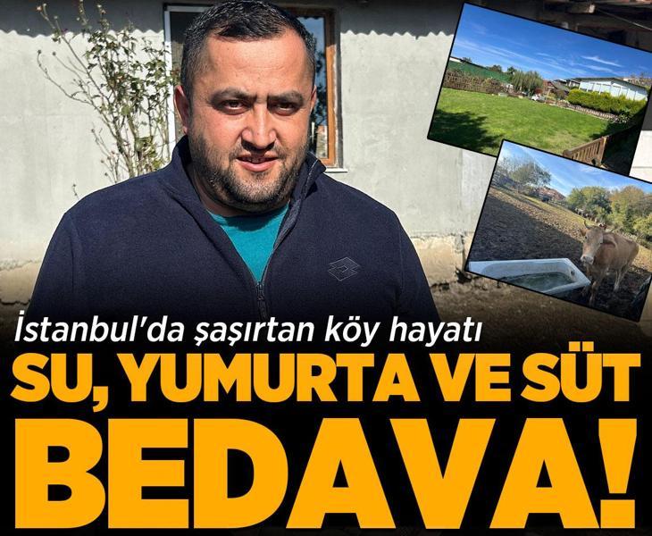 İstanbul'un göbeğinde köy hayatı: Su, yumurta ve süt bedava!
