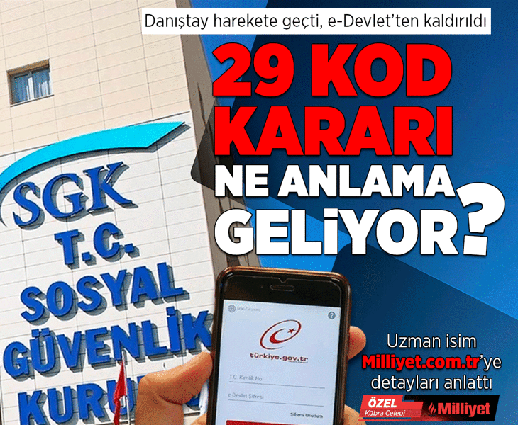 Danıştay harekete geçti, e-Devlet’ten kaldırıldı! 29 kodu ne anlama geliyor? Uzman isim Milliyet.com.tr'ye anlattı