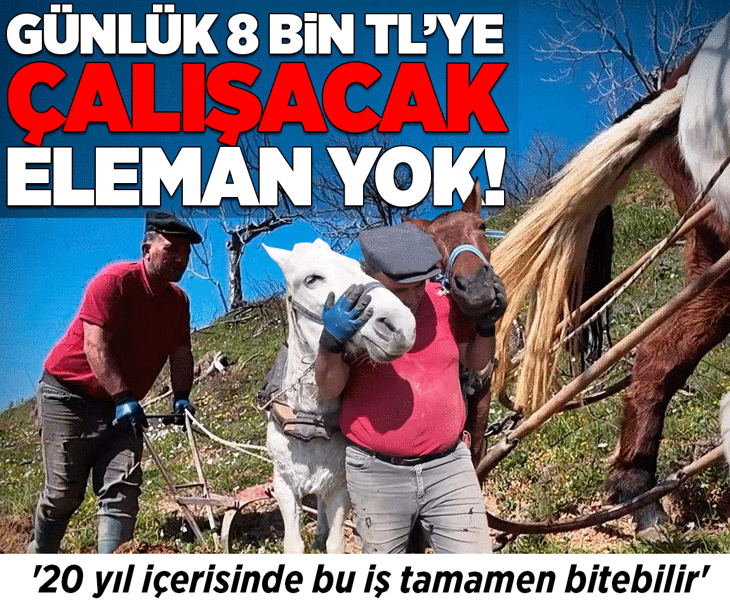 Günlük 8 bin TL'ye çalışacak eleman yok: '20 yıl içerisinde bu iş tamamen bitebilir'