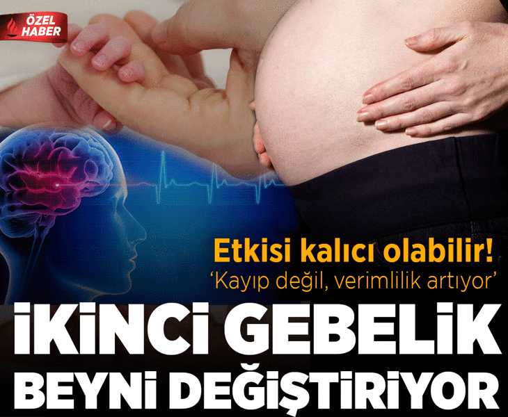 İkinci gebelik beyni değiştiriyor! Etkisi kalıcı olabilir: 'Kayıp değil, verimlilik artıyor'