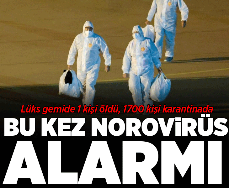 Hantavirüs'ün ardından Norovirüs kabusu! Lüks gemide 1 kişi öldü, 1700 kişi karantinada