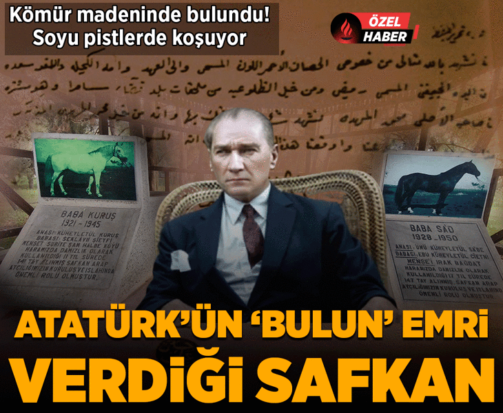 Atatürk'ün 'Bulun' emri verdiği safkan! Kömür madeninde bulundu, soyu pistlerde koşuyor