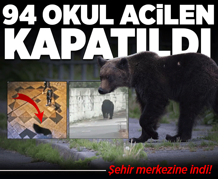 Şehir merkezine indi, tam 94 okul birden kapatıldı! Japonya'da ayı alarmı