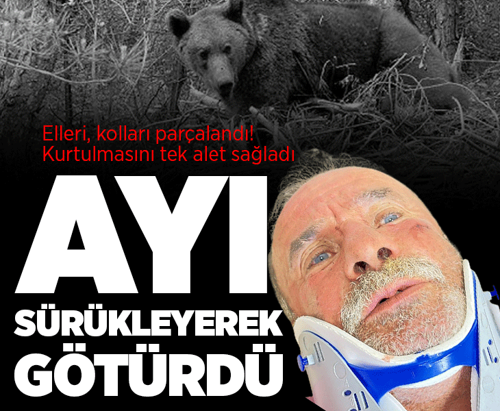 Nacakla kurtuldu: Ayı ellerimi ve kollarımı parçaladı