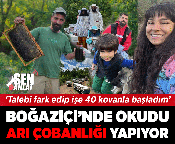 Boğaziçi’nde okudu, 'arı çobanlığı' yapıyor! 'Talebi fark edip işe 40 kovanla başladım'