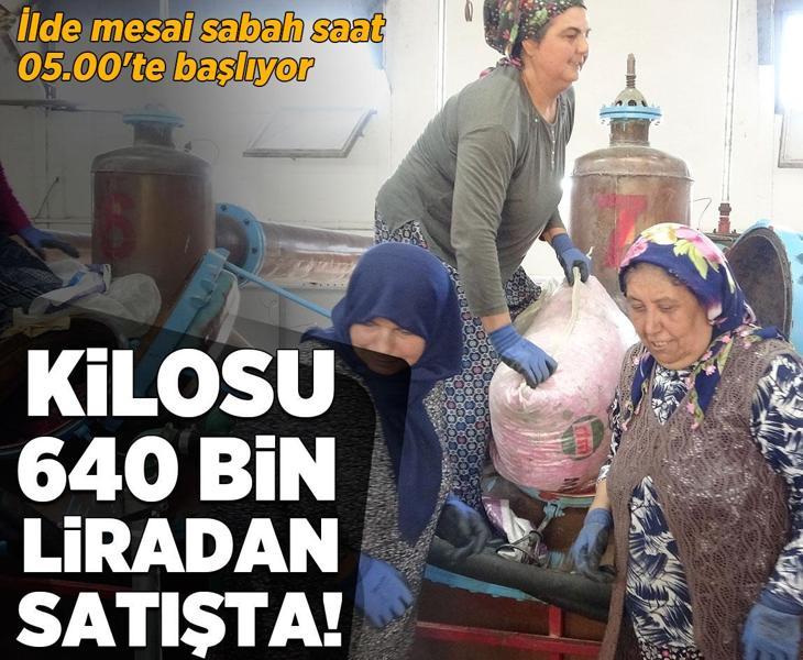 Isparta'nın pembe hazinesi: 4 ton gülden elde edilen yağın kilosu 640 bin liraya satışa çıkarıldı