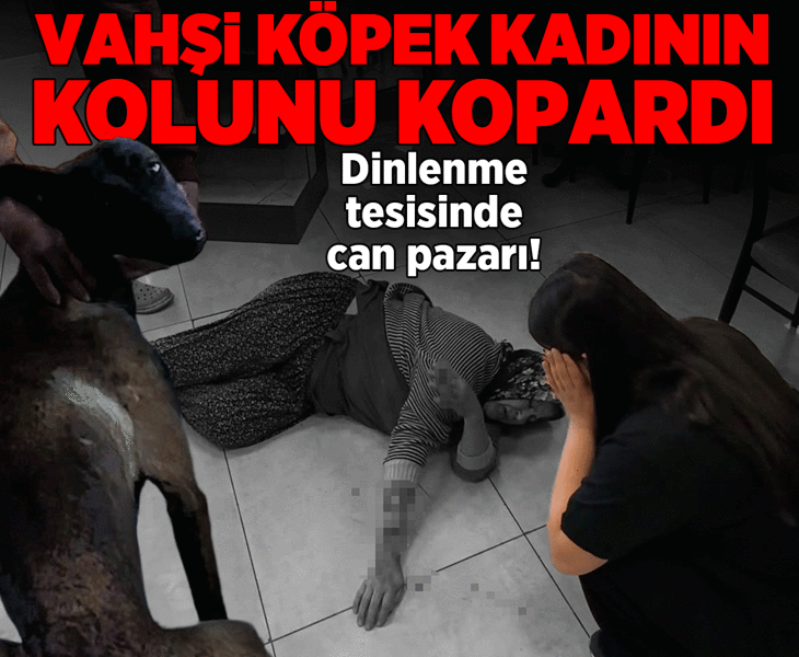 Dinlenme tesisinde can pazarı! Başıboş köpek kadının kolunu kopardı