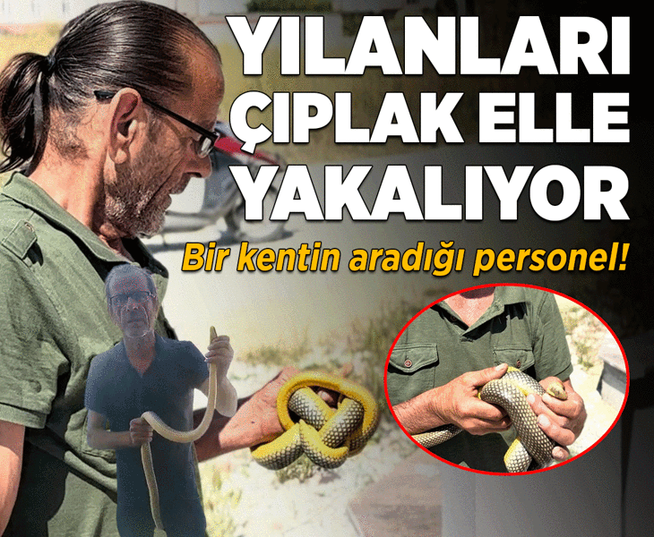 Sakarya’da yılan görünce tek bir isim akıllara geliyor! Çıplak elleriyle yakalayıp doğaya bırakıyor