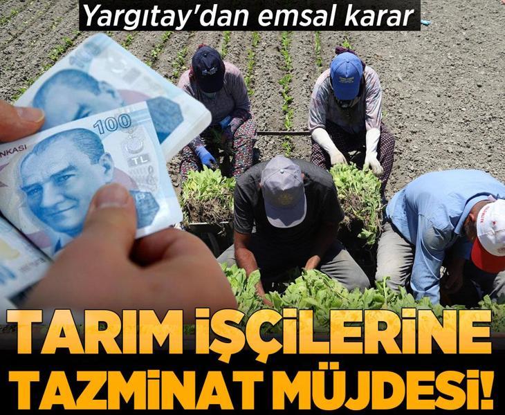 Yargıtay'dan çalışanları ilgilendiren emsal karar: Tarım işçilerine tazminat müjdesi