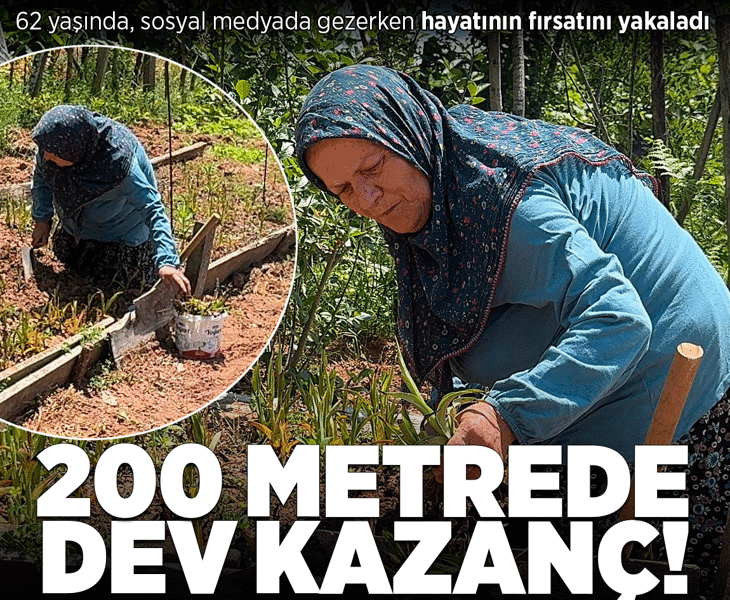 Sosyal medyada gezerken hayatının fırsatını yakaladı: Köyüne döndü: 200 metrede dev kazanç