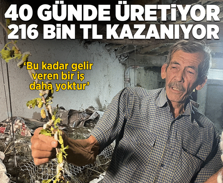 40 günde üretiyor, 216 bin lira kazanıyor: Bu kadar gelir veren bir iş daha yoktur