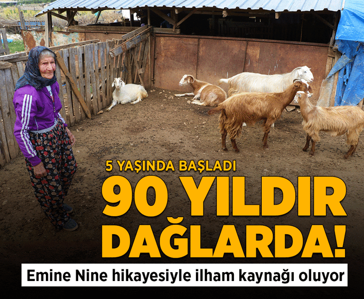 94 yaşında, 90 yıldır dağlarda! Emine Nine'den ilham veren yaşam hikayesi