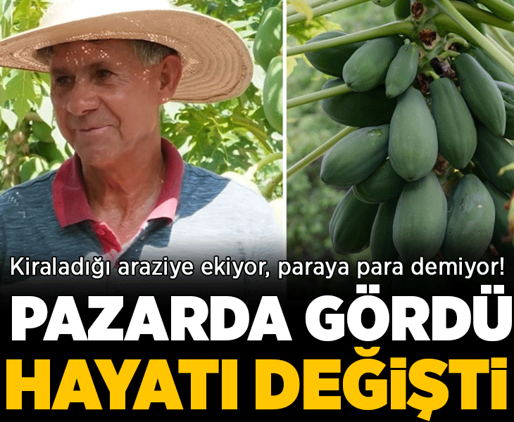 Pazarda gördü, hayatı değişti! Kiraladığı arazide her ay tonlarca hasat ediyor, paraya para demiyor