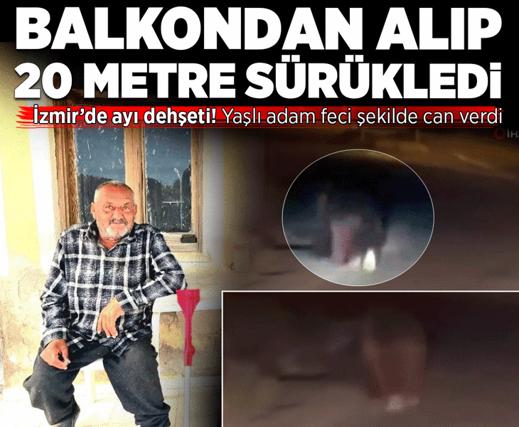 Balkondan alıp 20 metre sürükledi! İzmir'de ayı dehşeti... Yaşlı adam hayatını kaybetti