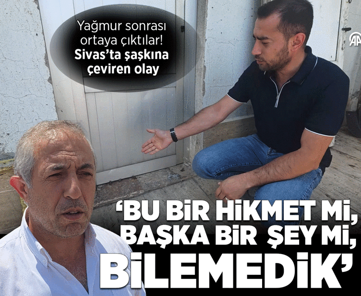 Yağmur sonrası ortaya çıktılar: Bu bir hikmet mi, başka bir şey mi, bilemedik