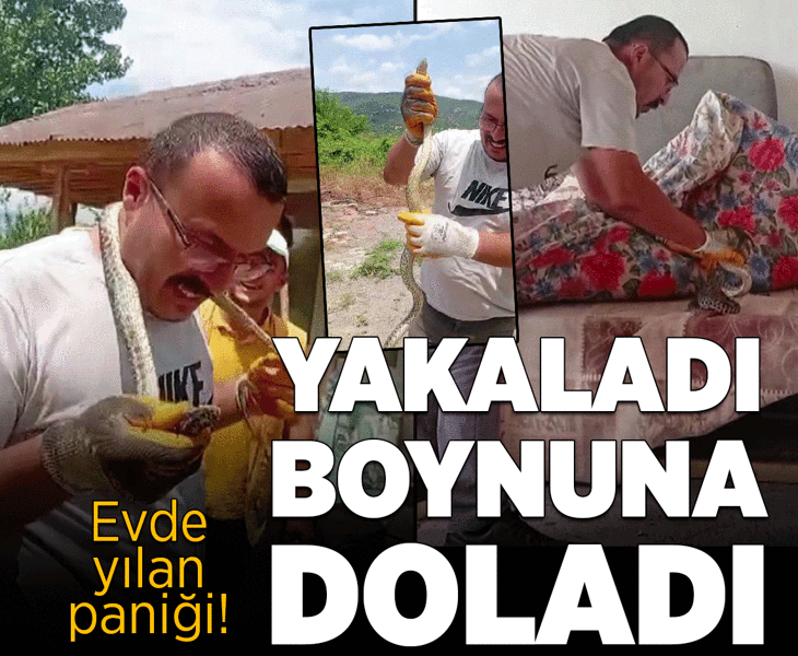 Amasya'da evde yılan paniği! Yakaladı, boynuna doladı