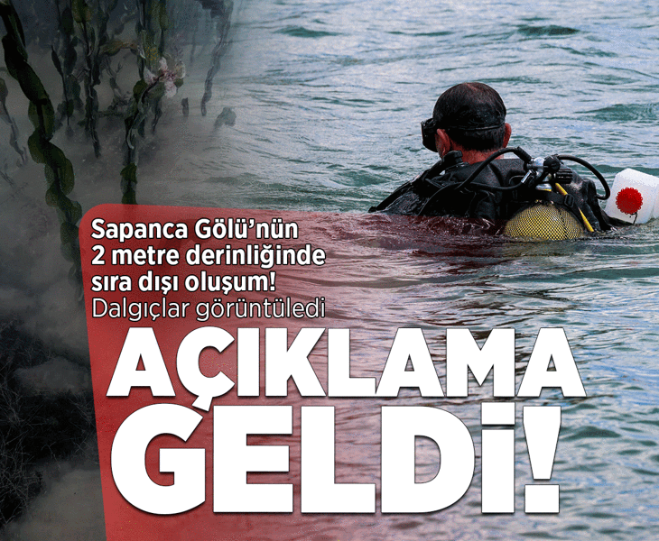 Sapanca Gölü'nün 2 metre derinliğinde sıra dışı oluşum! Açıklama geldi