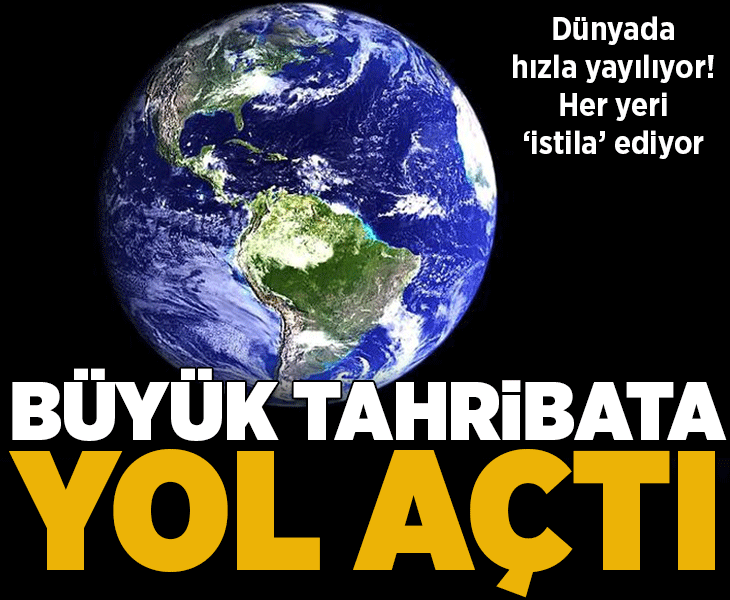 Dünyada hızla yayılıyor! Her yeri 'istila' ediyor: Büyük tahribata yol açtı