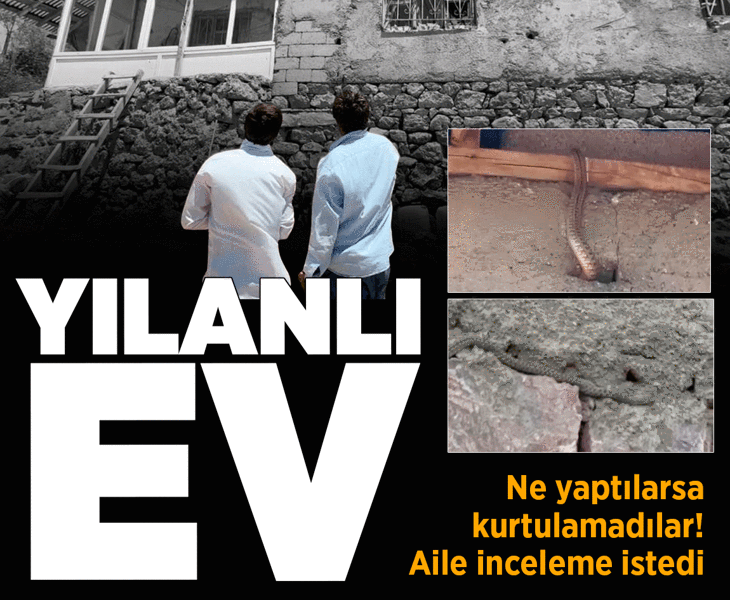 Yılanlı ev! Çaresiz kalan ailenin çağrısı var