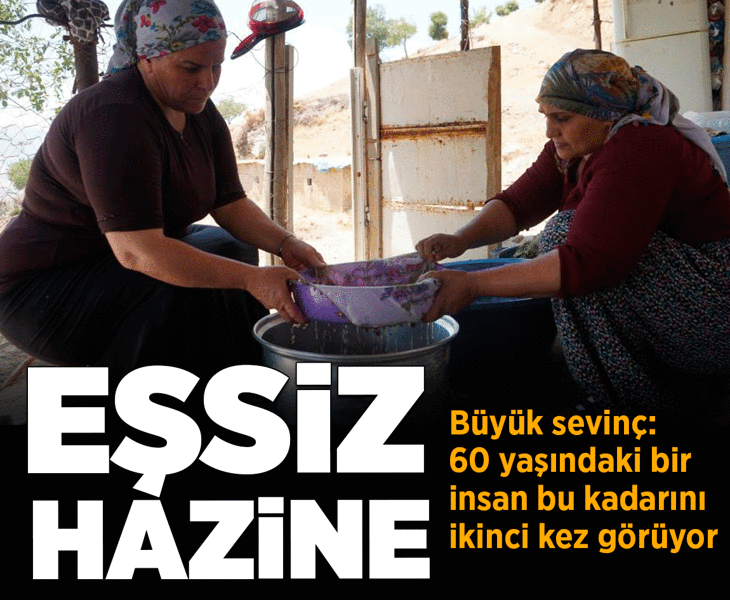 Eşsiz hazine! Bölgede büyük sevinç: 60 yaşındaki bir insan bu kadar bereketi ikinci kez görüyor