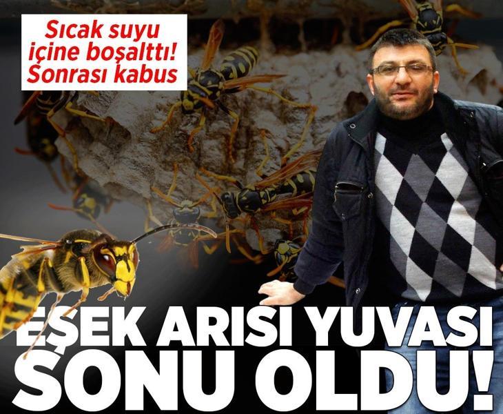 Eşek arılarının yuvasına sıcak su döktü! Doğum gününde hayatını kaybetti