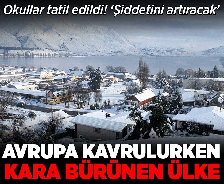 Dünya sıcaktan kavrulurken kara teslim oldular! Okullar tatil edildi