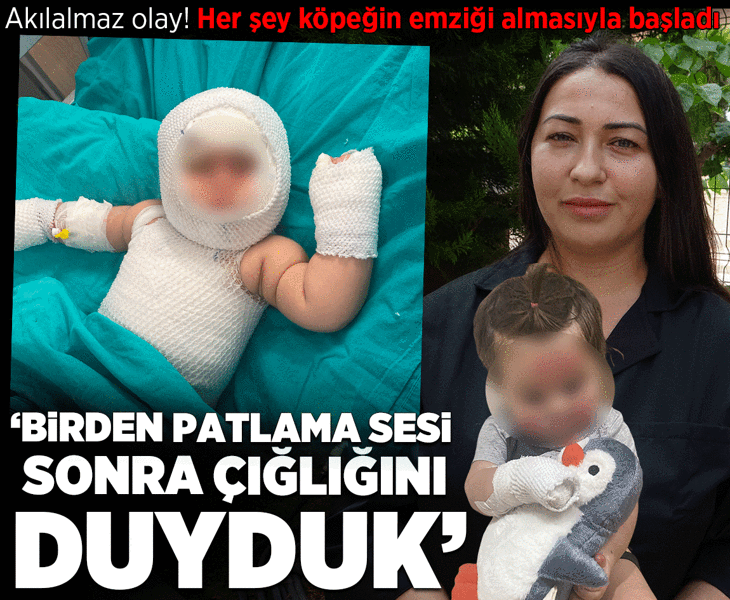 Akılalmaz olay! Her şey köpeğin emziği almasıyla başladı: Birden patlama sesi sonra çığlığını duyduk