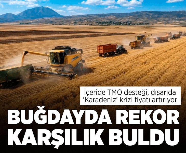 İçeride TMO desteği, dışarıda ‘Karadeniz’ krizi fiyatı artırıyor! Buğdayda rekor karşılık buldu