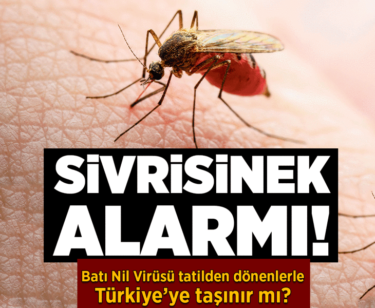 Sivrisinek alarmı
