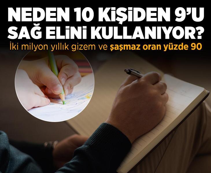 Neden 10 kişiden 9'u sağ elini kullanıyor? İki milyon yıllık gizem ve şaşmaz oran 'yüzde 90'