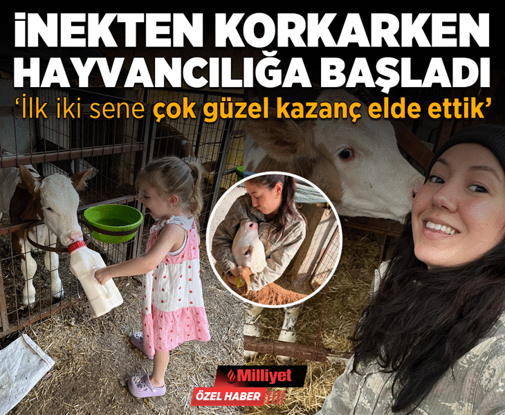 İnekten korkarken hayvancılığa başladı! ‘İlk 2 sene çok güzel kazançlar elde ettik’
