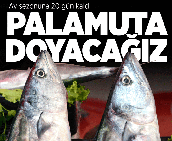 Palamut kaynıyor! Fiyat cep yakmasın