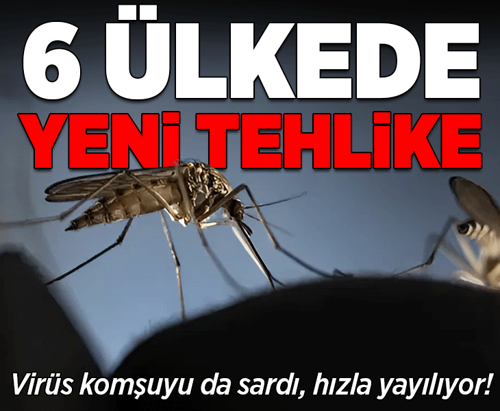 6 ülkede yeni tehlike! Virüs komşuyu da sardı, hızla yayılıyor