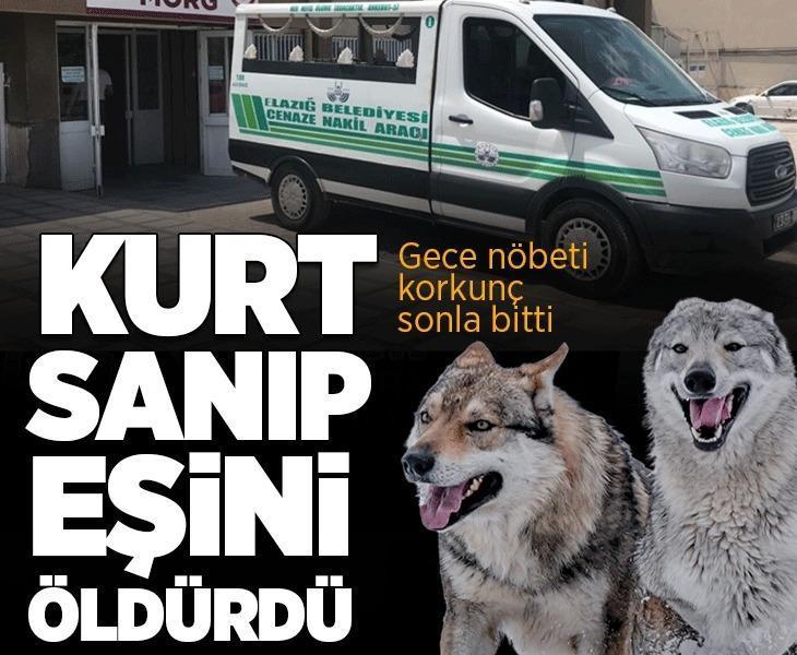 Elazığ’da ağılda dehşet! Kurt sandı, tüfeğini ateşledi: Eşini öldürdü