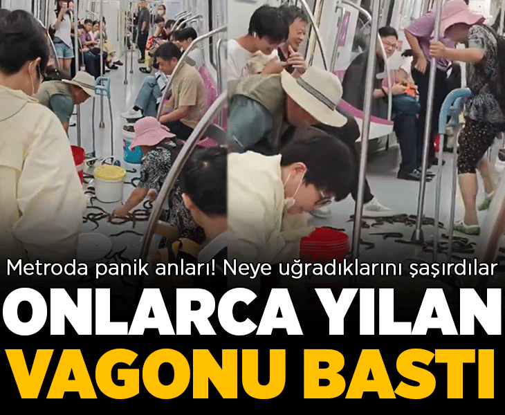 Metro yolculuğu kabusa döndü! Onlarca yılan vagonu bastı