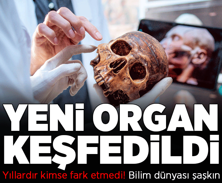 Yıllardır kimse fark etmedi! Bilim dünyası şokta: 'Yeni organ keşfedildi'
