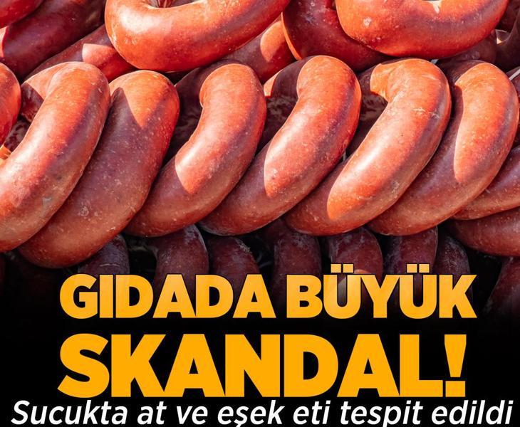 Gıdada büyük skandal! Sucukta at ve eşek eti tespit edildi